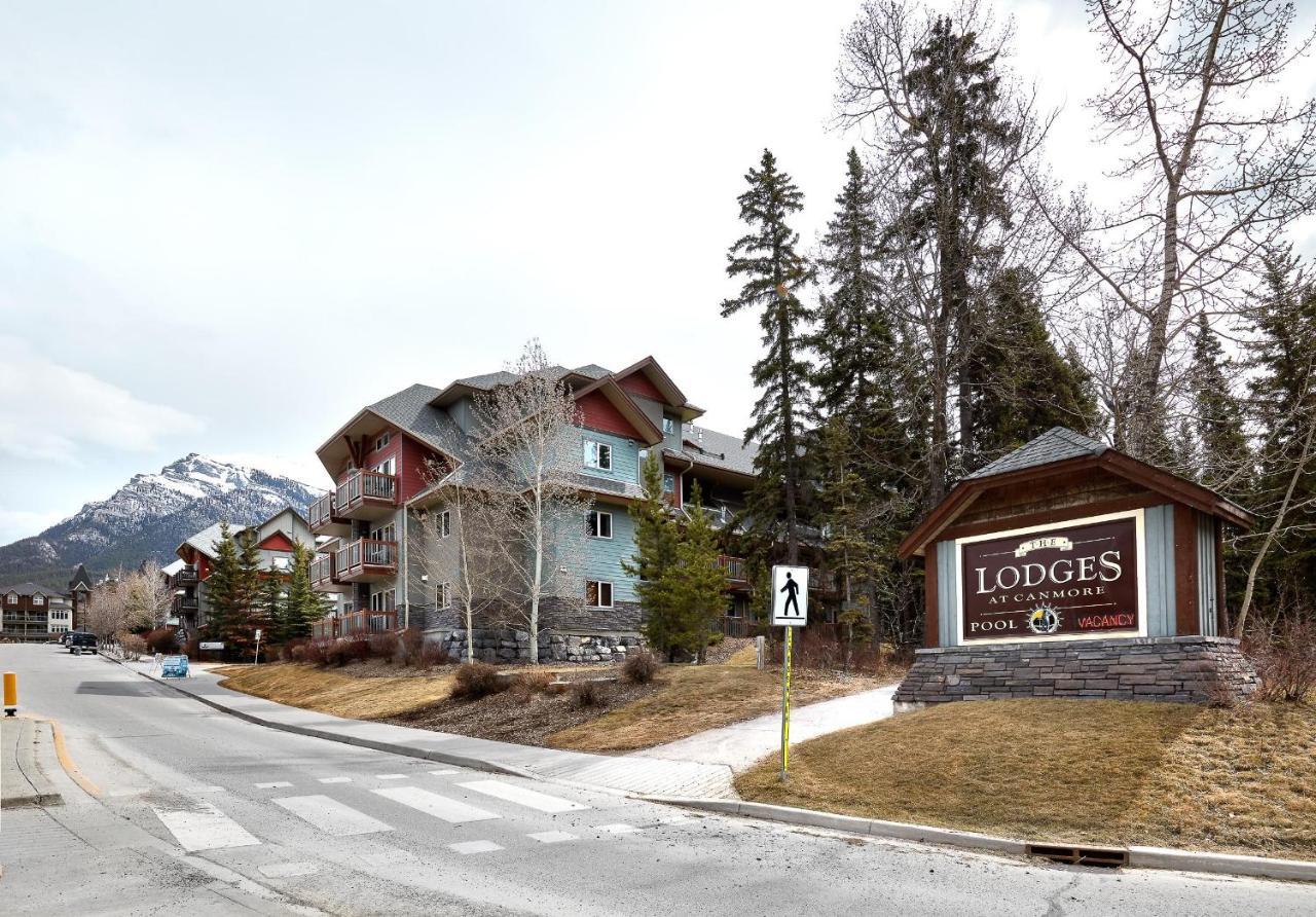 Newly Renovated Grizzly Lodge, Spacious 3Br 2Ba With Open Pool, Hot Tub 坎莫尔 外观 照片