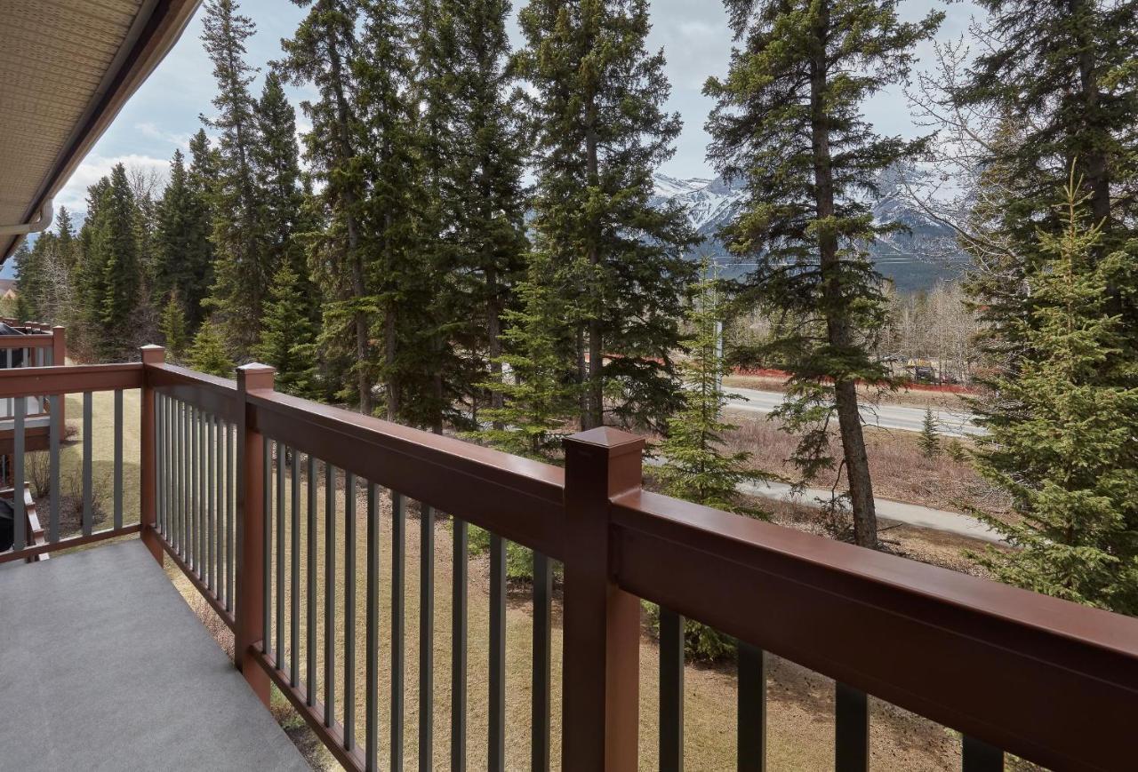 Newly Renovated Grizzly Lodge, Spacious 3Br 2Ba With Open Pool, Hot Tub 坎莫尔 外观 照片